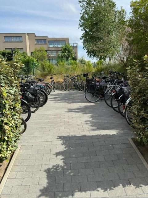 Crevette Gezellig Met Zonnige Terrassen En Zeezicht - Toplocatie! * Coxyde
