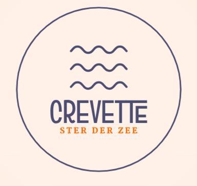 Crevette Gezellig Met Zonnige Terrassen En Zeezicht - Toplocatie! Appartement Coxyde